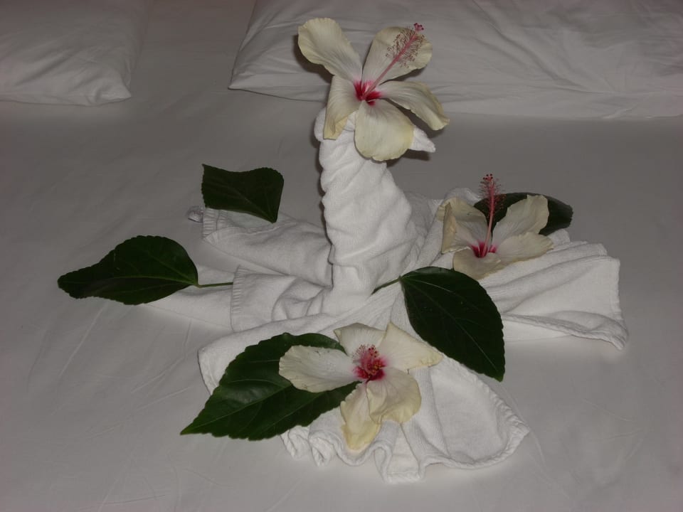 Schöne Deko im Zimmer Kaya Side