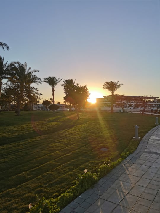 Garten Pickalbatros Dana Beach Resort - Hurghada