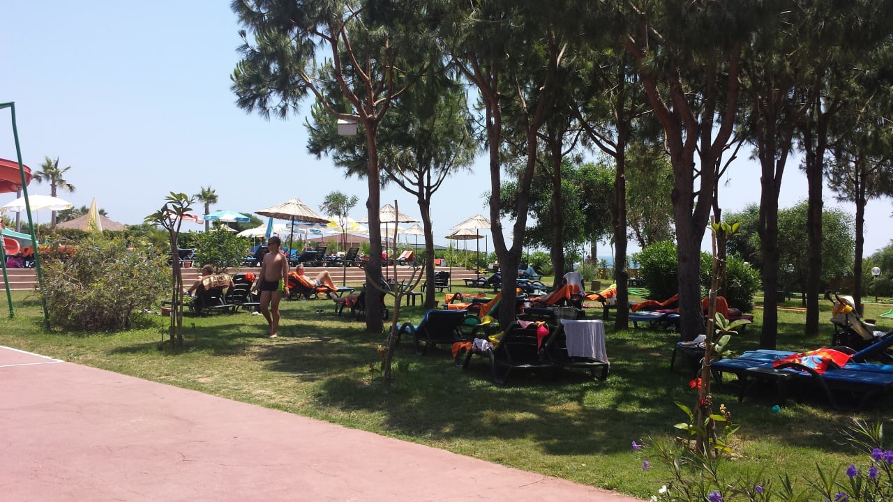 Liegewiese Club Turtas Beach Hotel