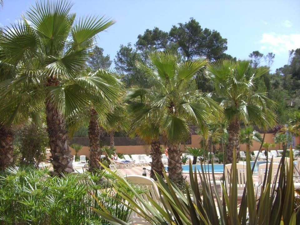 Riu Romantica  Flipflop Cala Romantica