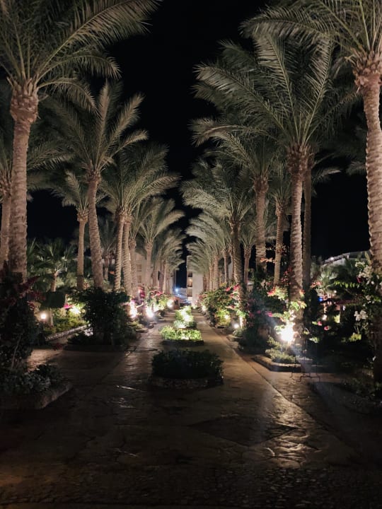 Gartenanlage Riviera Aqua Park Resort