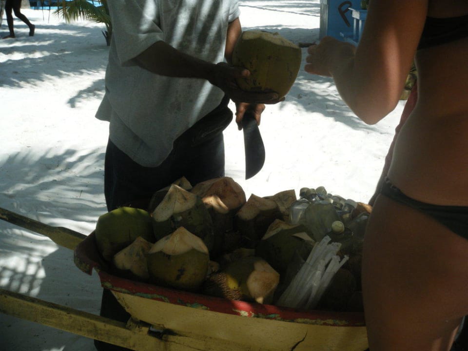 Frische Kokosnüsse Hotel Grand Palladium Palace Resort, Spa & Casino