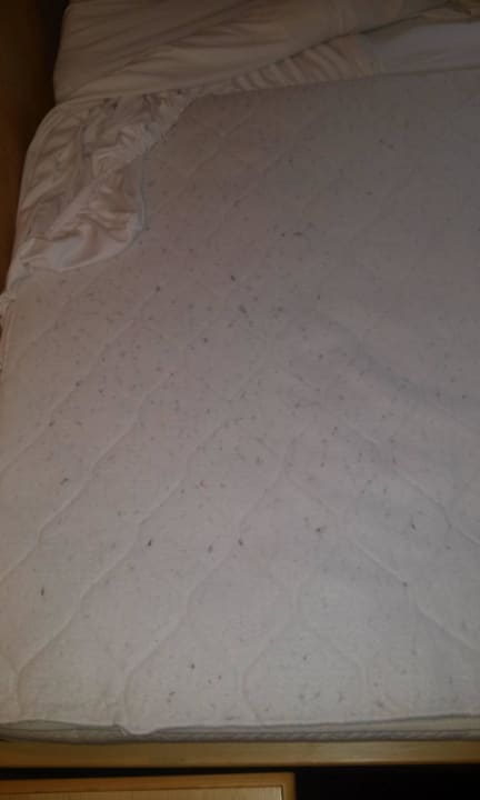 Ekelhafter Matratzenschoner - Zimmer 1 Hotel Jägerhof