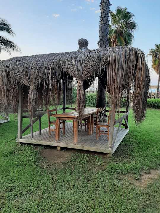 Gartenanlage Royal Atlantis Beach Hotel