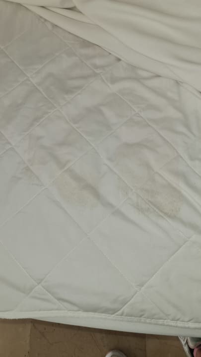 Zimmer Impressive Premium Punta Cana