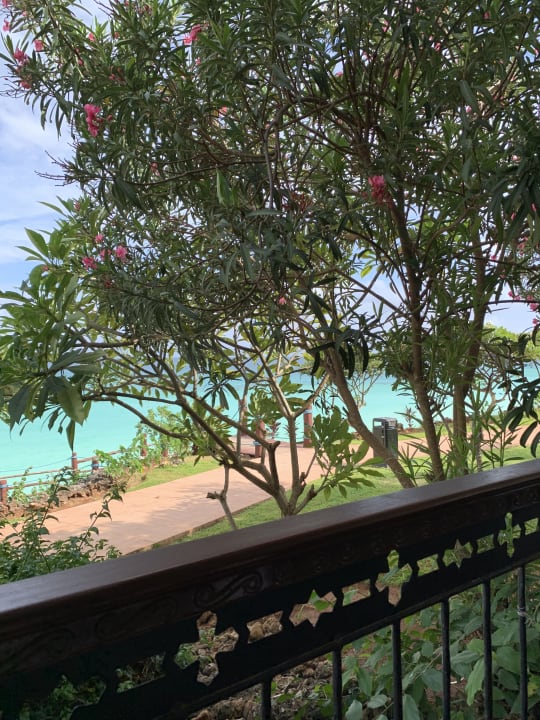 Ausblick Hotel Riu Palace Zanzibar