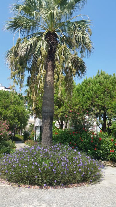 Gartenanlage Bella Resort & Spa