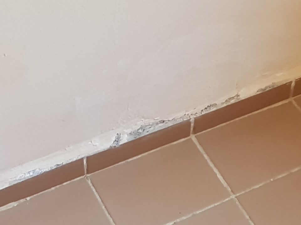 Zimmer Hotel Catty Cats Garden