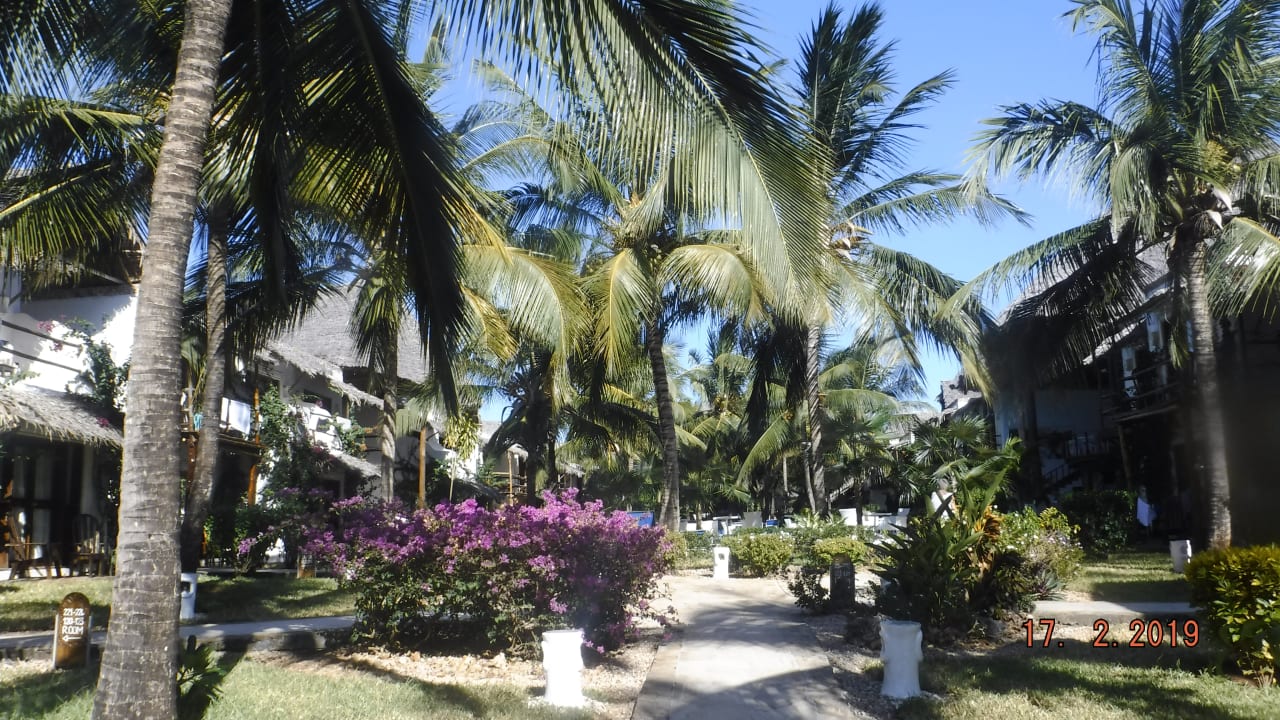 Gartenanlage My Blue Hotel