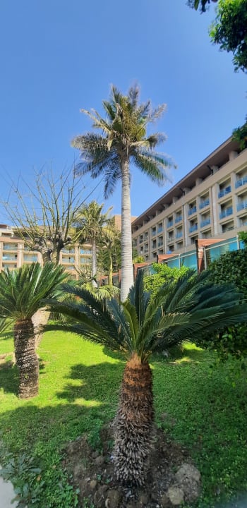 Gartenanlage Sunis Kumköy Beach Resort Hotel & Spa