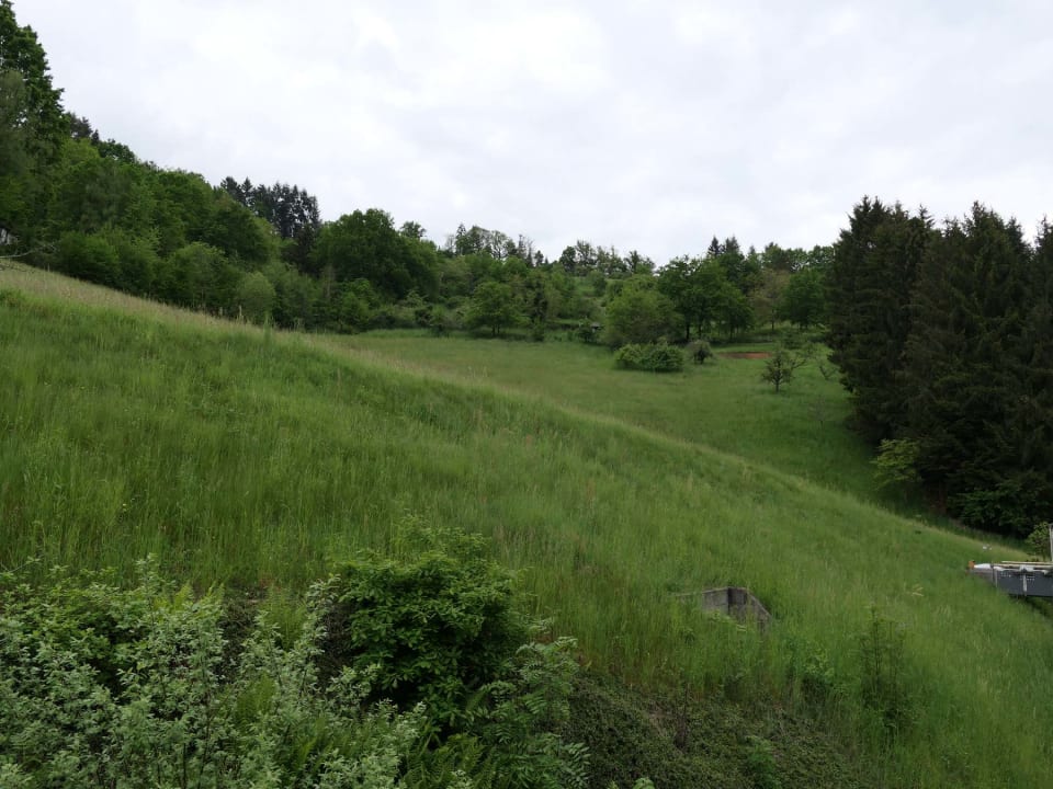 Ausblick Gasthof Linde