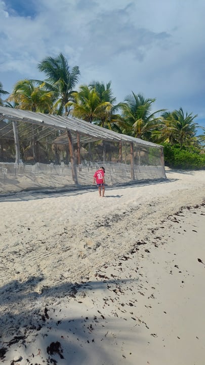 Strand Grand Palladium Kantenah Resort & Spa