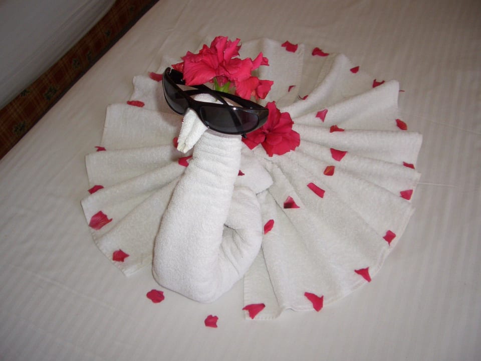 So fängt der Urlaub gut an Beach Albatros Resort