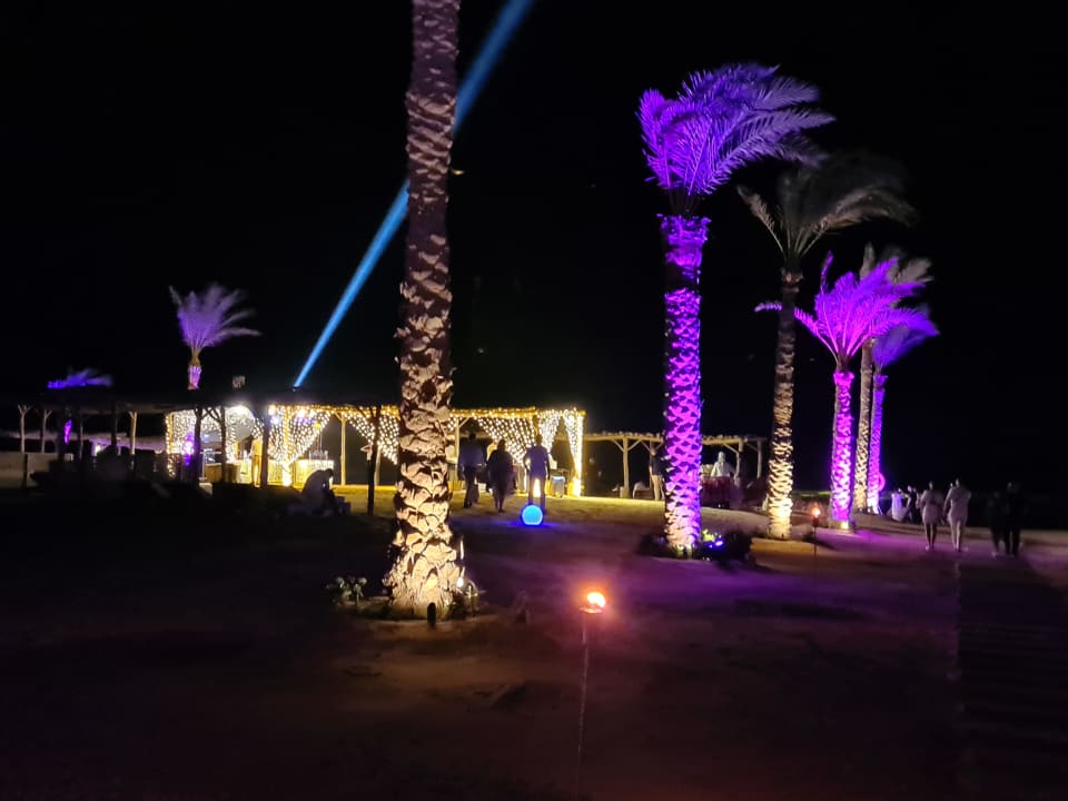 Strand Steigenberger Resort Alaya Marsa Alam - Red Sea - Adults only