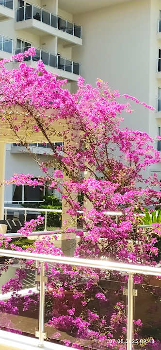 Pool Seaden Sea World Resort & Spa