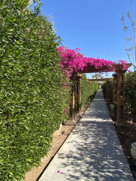 Gartenanlage JAZ Elite Casa del Mar Beach