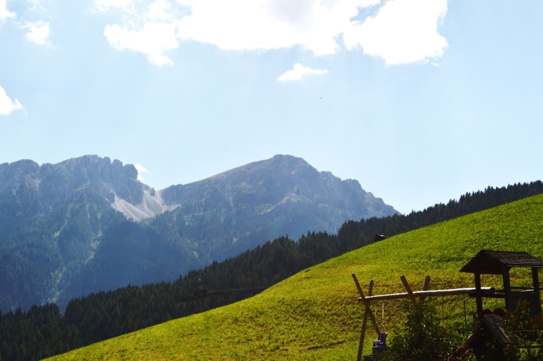 Ausblick Niedereggerhof - Urlaub auf dem Bauernhof