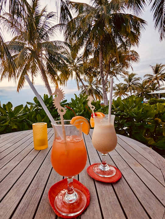 Gastro Vilamendhoo Island Resort & Spa