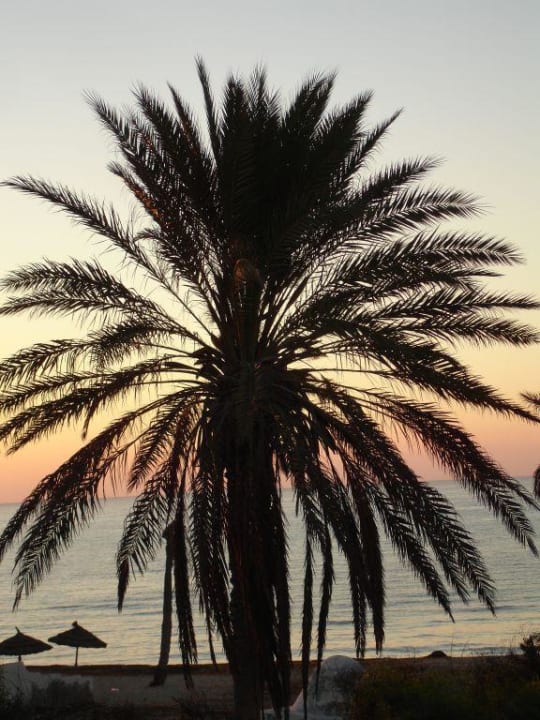 Sonenaufgang Djerba Castille