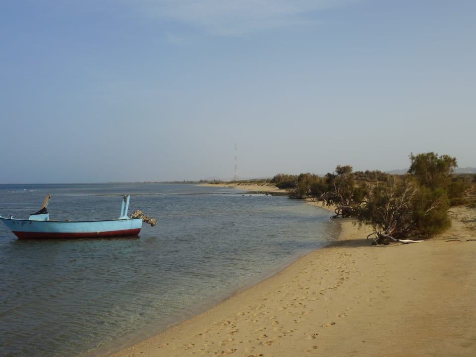 Wanderung rechtsseitig vom Hotel Shams Alam Beach Resort