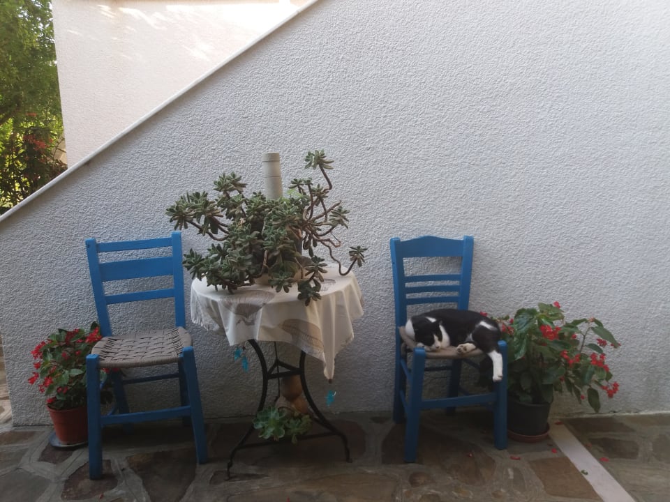 Sonstiges Hotel Golden Sun