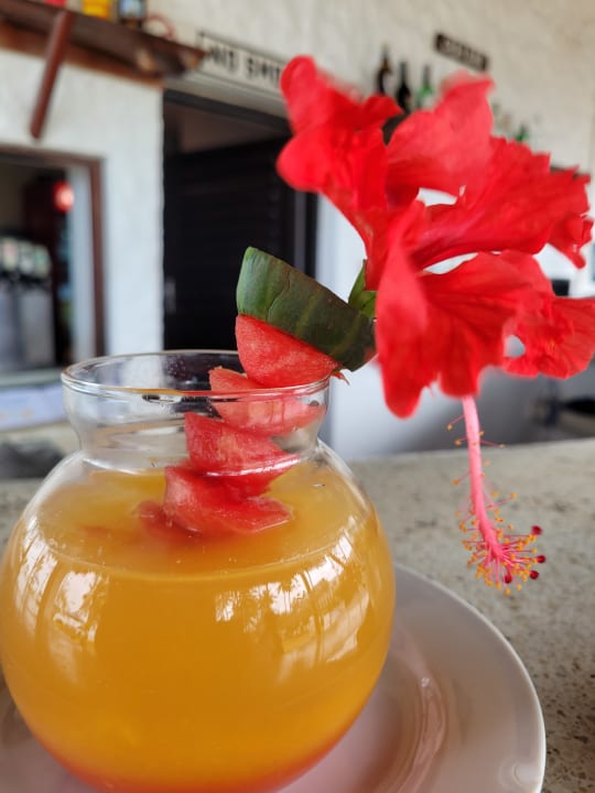 Gastro Hotel Diani Sea Lodge