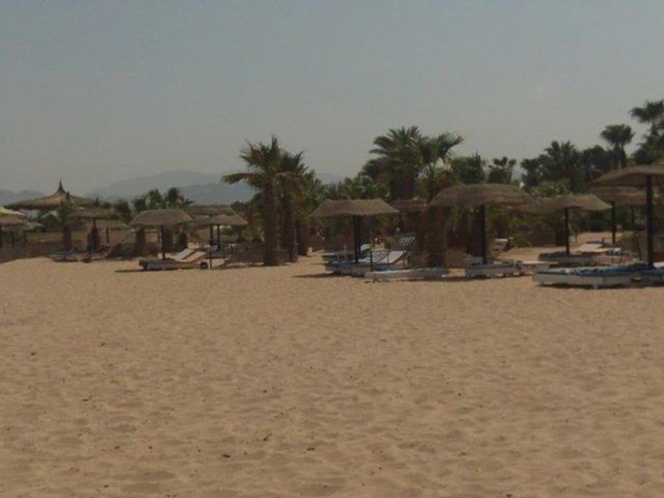 Immer alles Reserviert 22 Stunden lang  Lotus Bay Beach Resort