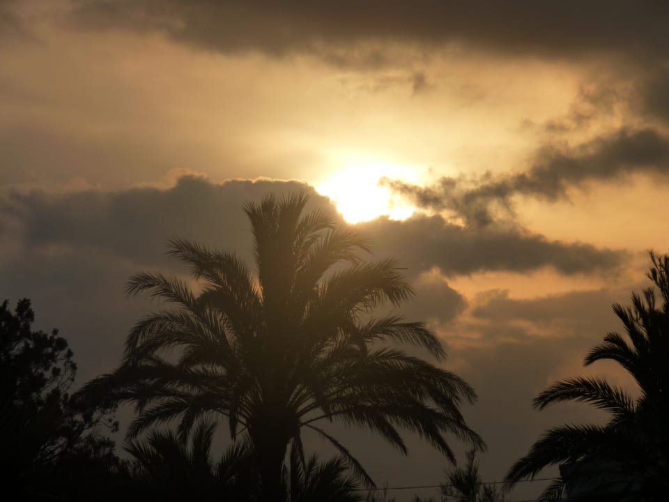 Ausblick FERGUS Style Bahamas