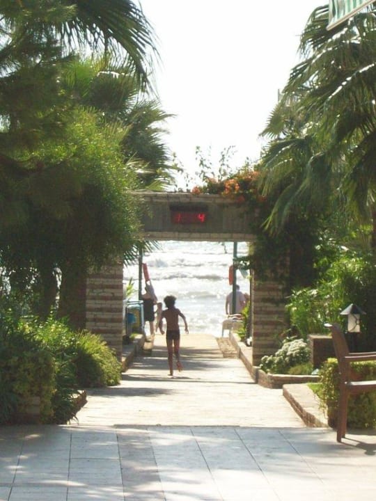 Weg zum Strand Trendy Palm Beach (Adults Only, 16+)