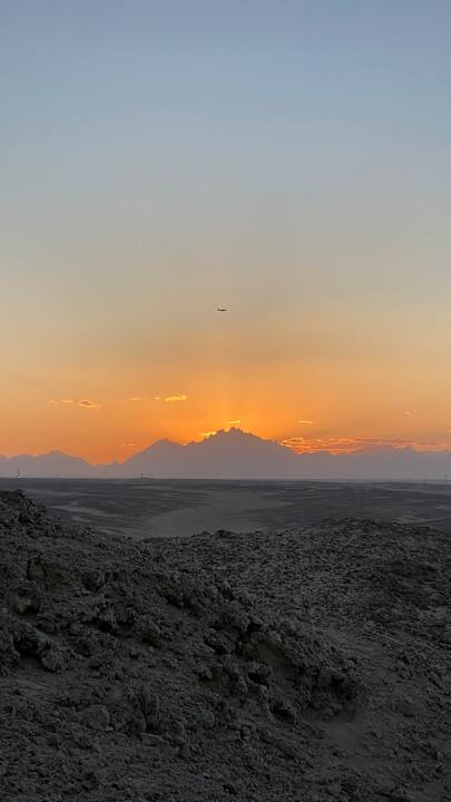 Ausblick Desert Rose