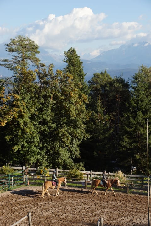 Ausblick Gasthof Saltner Edelweiss