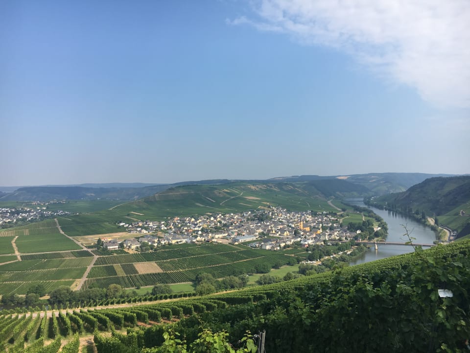 Außenansicht Guesthouse Weinhotelchen