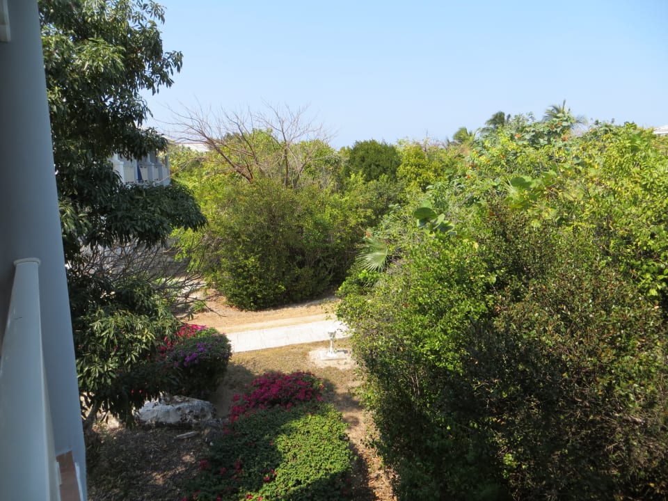 Ausblick Melia Las Dunas