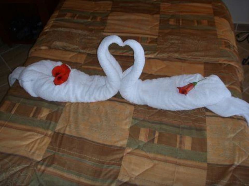 Deko auf dem Bett Malikia Resort Abu Dabbab