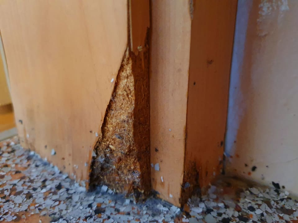 Zimmer Gasthof zum Löwen