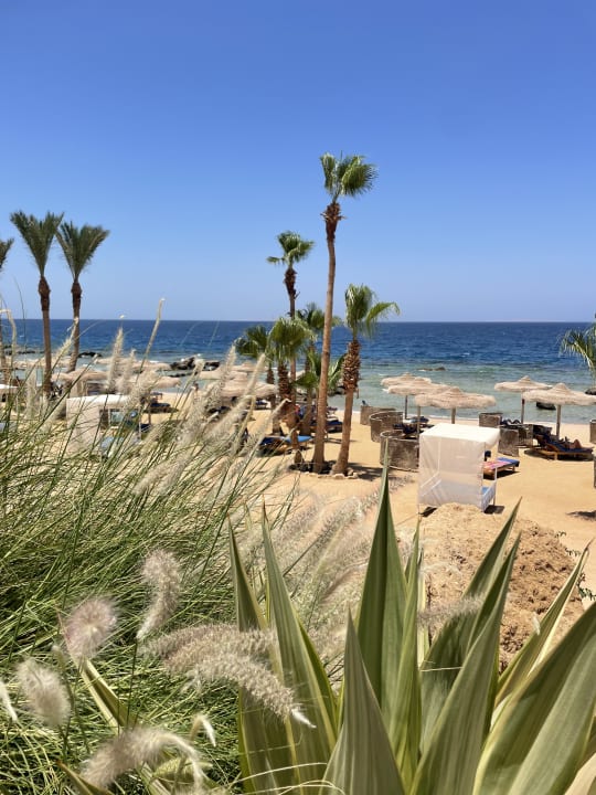 Strand Pickalbatros Citadel Resort