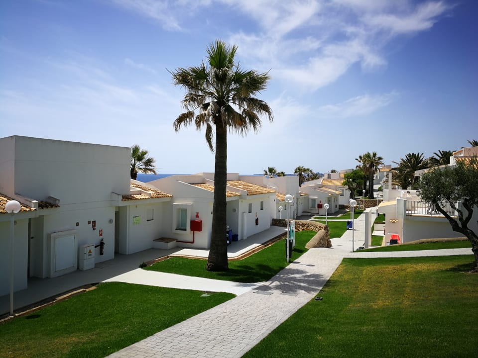 Gartenanlage blau punta reina