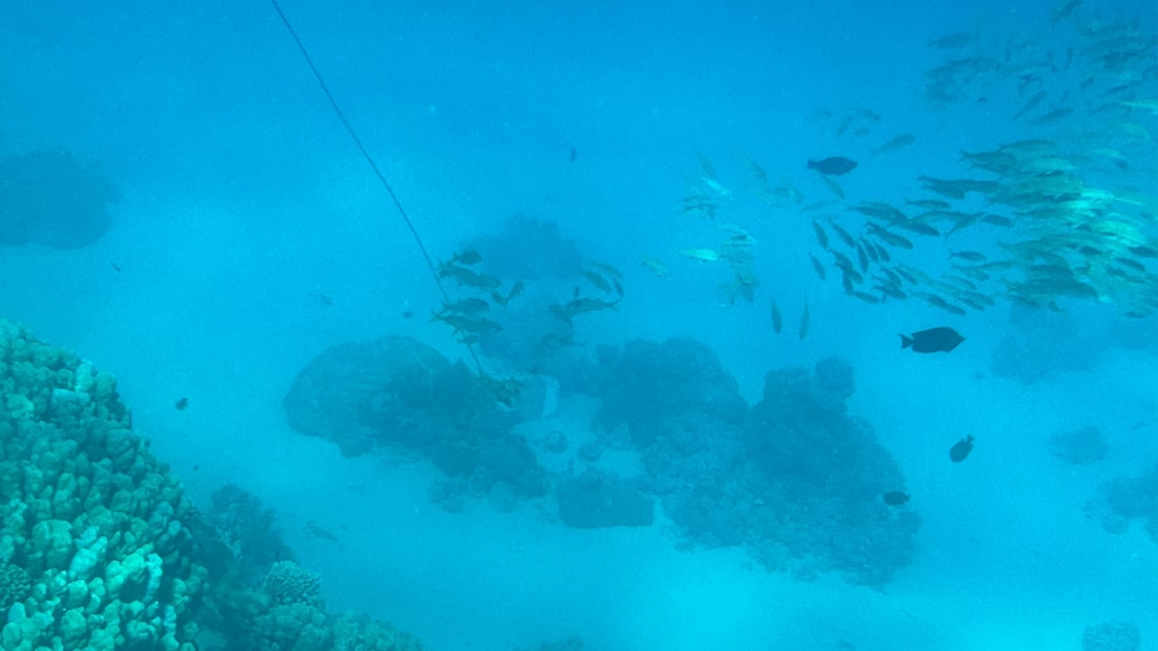 Sport & Freizeit Makadi Spa - Adults only