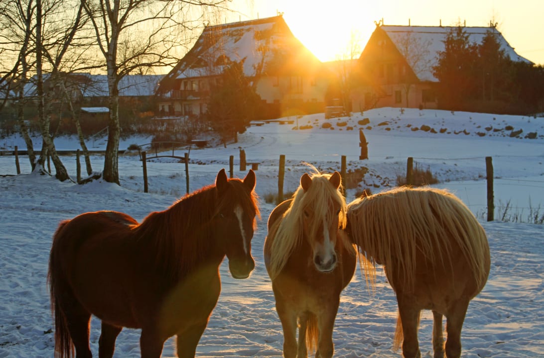 Sonstiges Landhotel Borstel-Treff