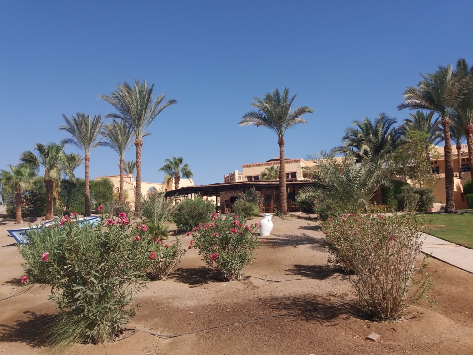 Gartenanlage Steigenberger Coraya Beach - Adults only