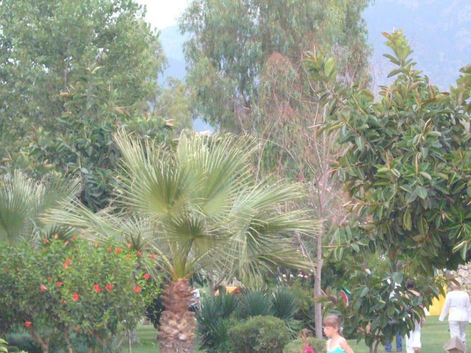 Garden Senza Sunset Beach Hotel