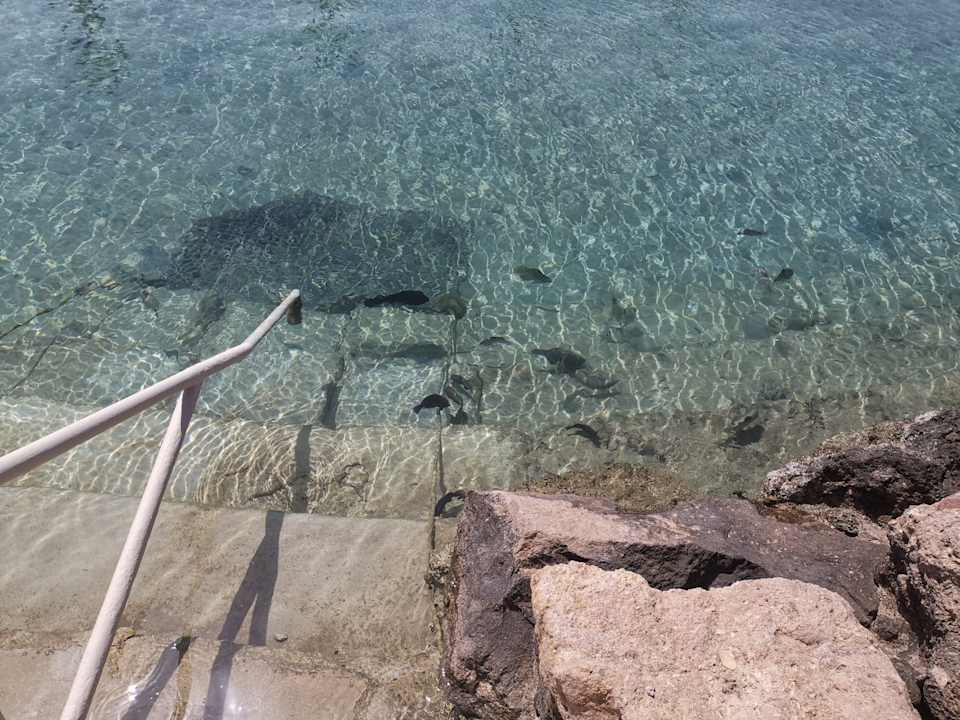 Strand Pickalbatros Citadel Resort