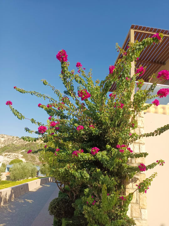 Gartenanlage Blue Lagoon Village
