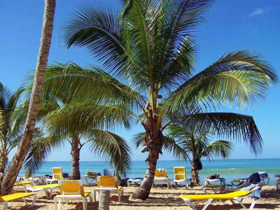 Hotelstrand Viva V Samana by Wyndham – Adults Only