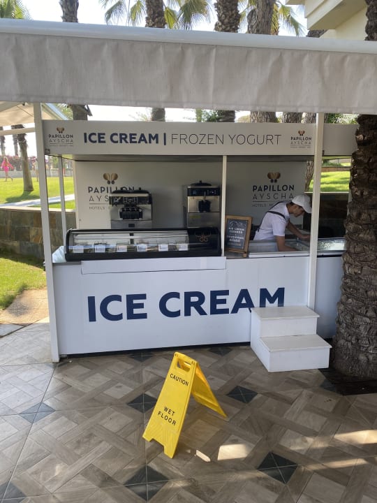 Gastro Papillon Ayscha