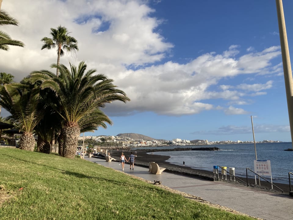 Ausblick Hotel Riu Palace Tenerife