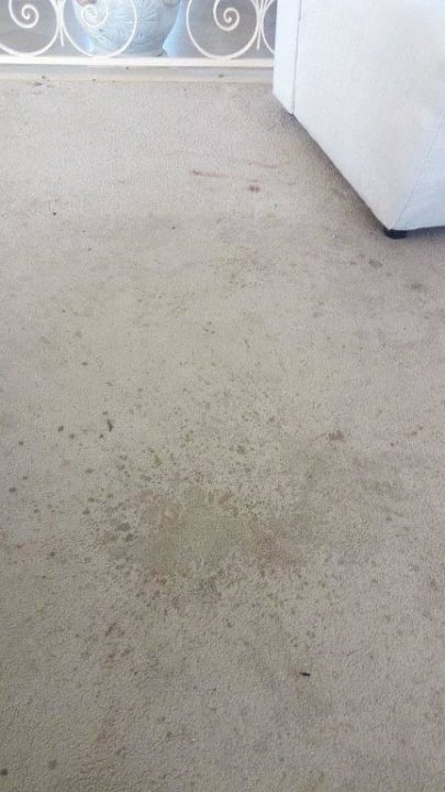 Lobby Hotel Neptunia Skanes