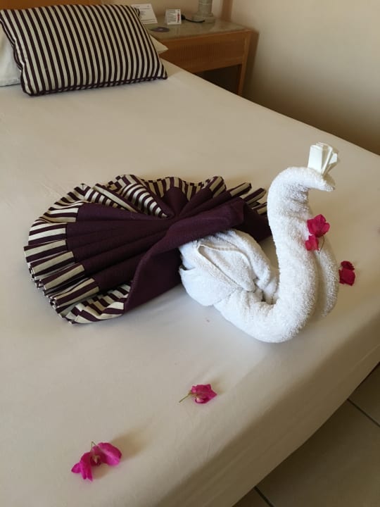 Zimmer Hotel JAZ Makadi Star & Spa