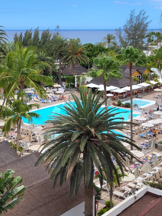 Pool Bull Costa Canaria & Spa - Adults only