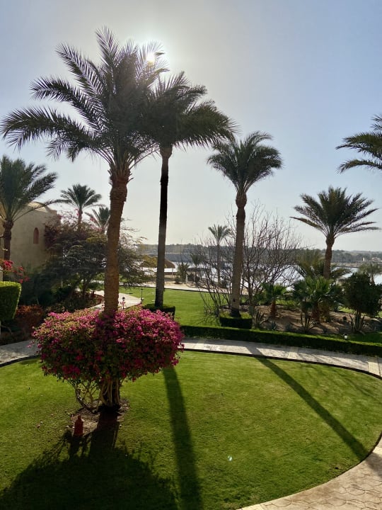 Gartenanlage Steigenberger Coraya Beach - Adults only